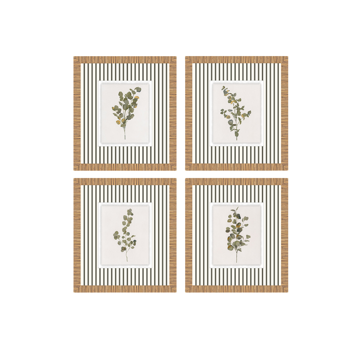 Lovely Eucalyptus Art