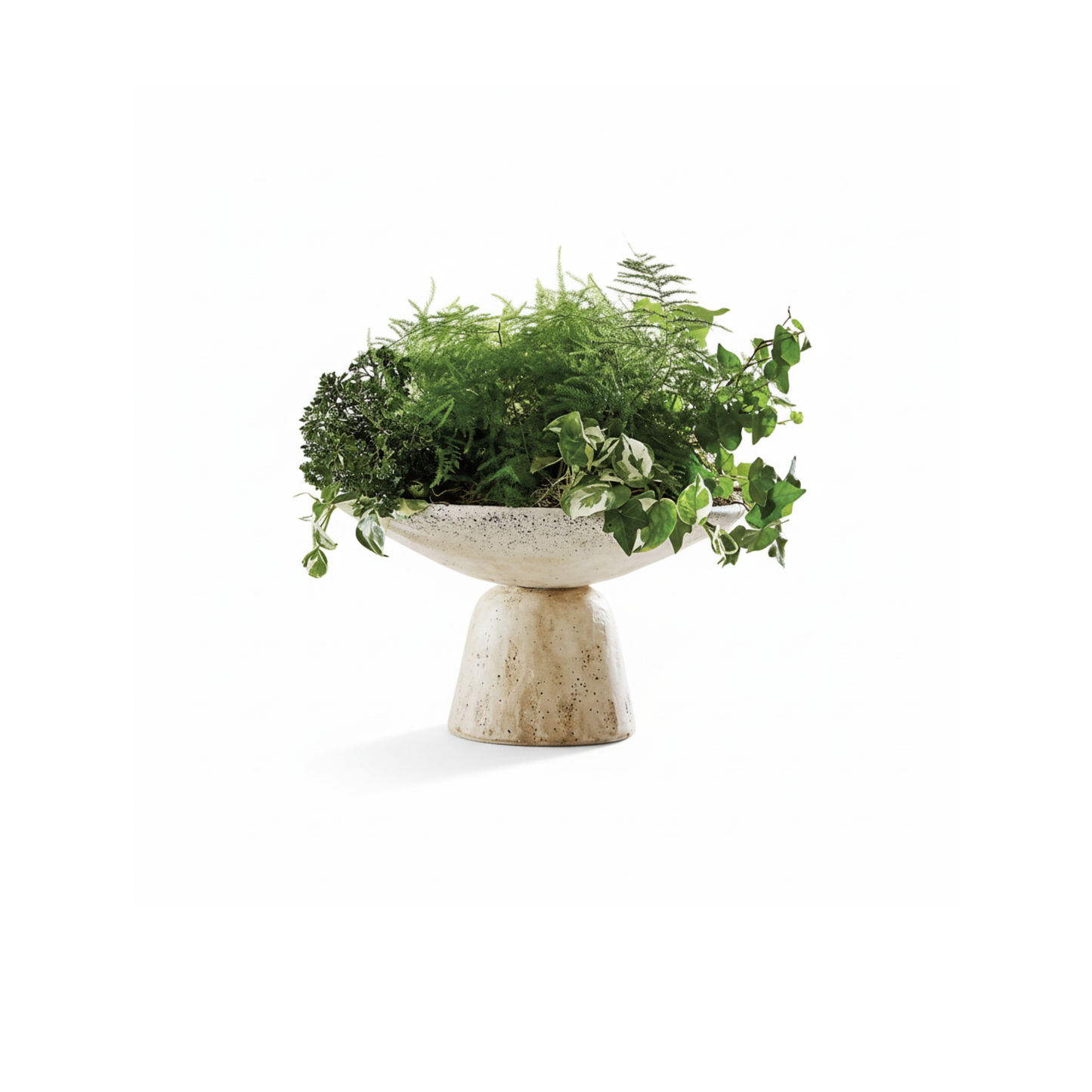 Remi Tabletop Planter