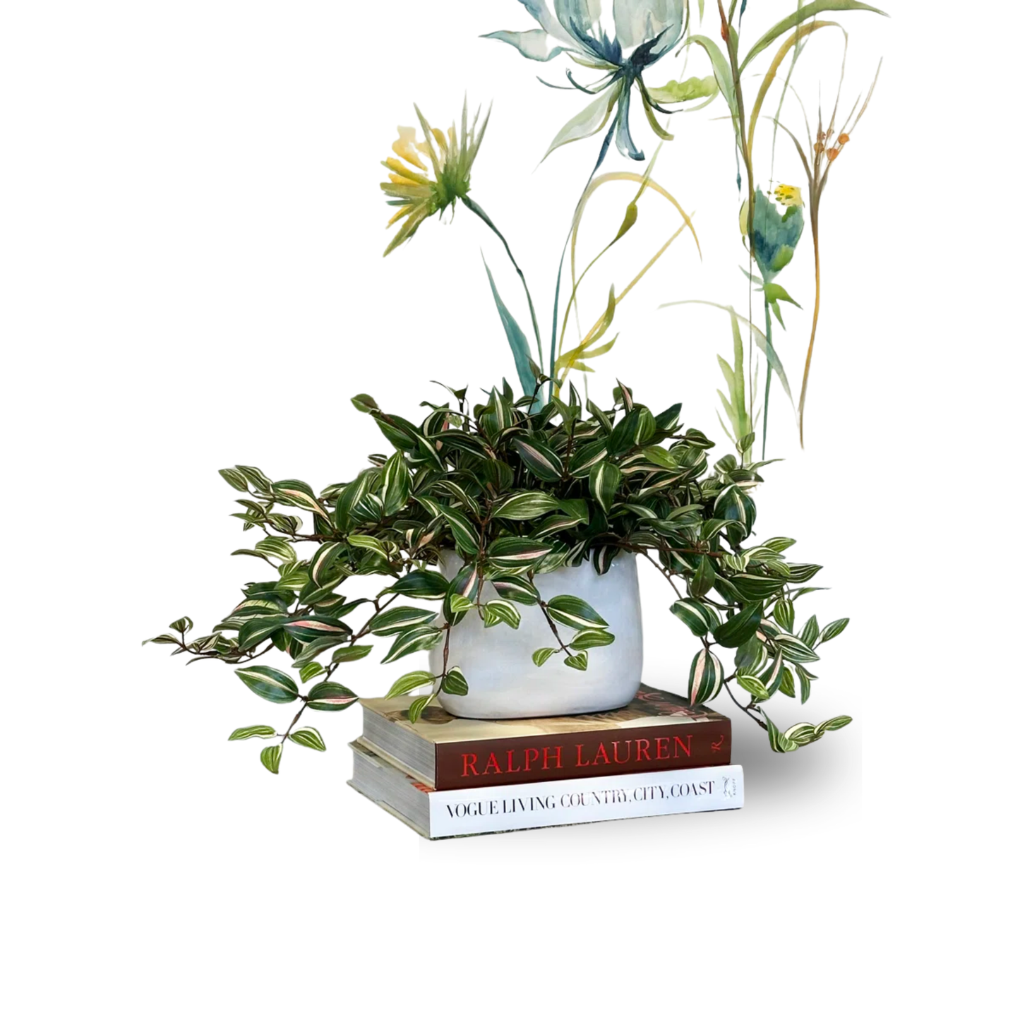 Karas Faux Tradescantia Plant in Ceramic Vase
