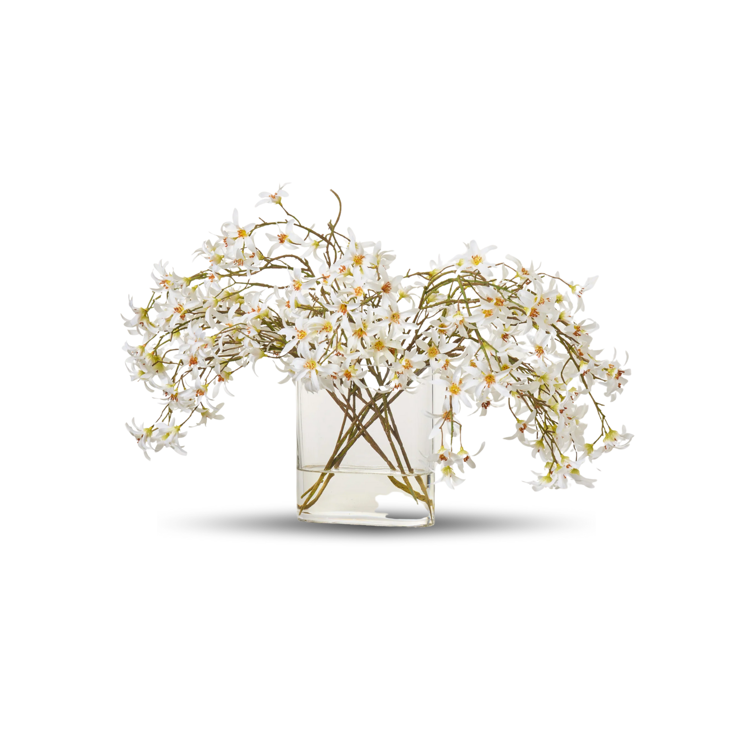 White Forsythia Bloom Branches in Oval Pocket Vase Everyday Spring Water Illusion Arrangement
