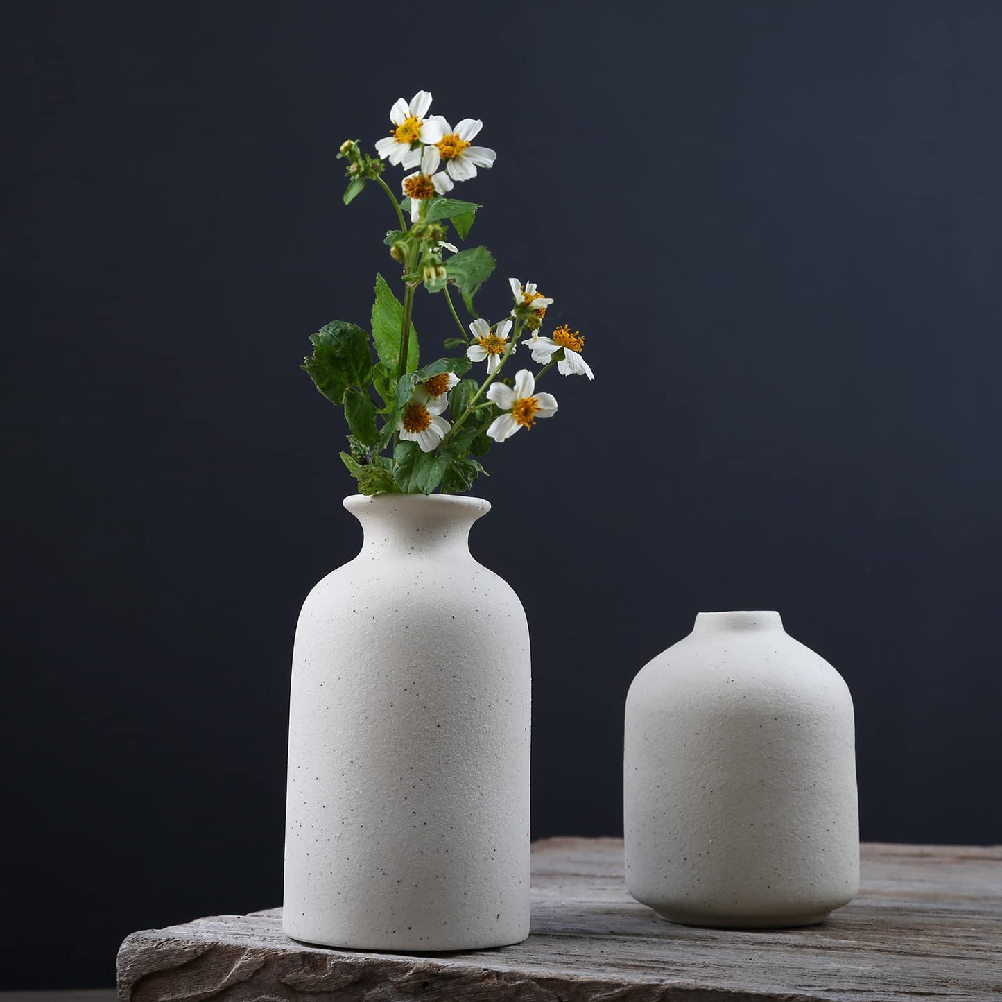 Napormot Ceramic Vase,Small Vases for Decor,Set 3 Modern Boho Vases for Flower Pampas,Fit for Living Room Desk Shelf Decor (White)