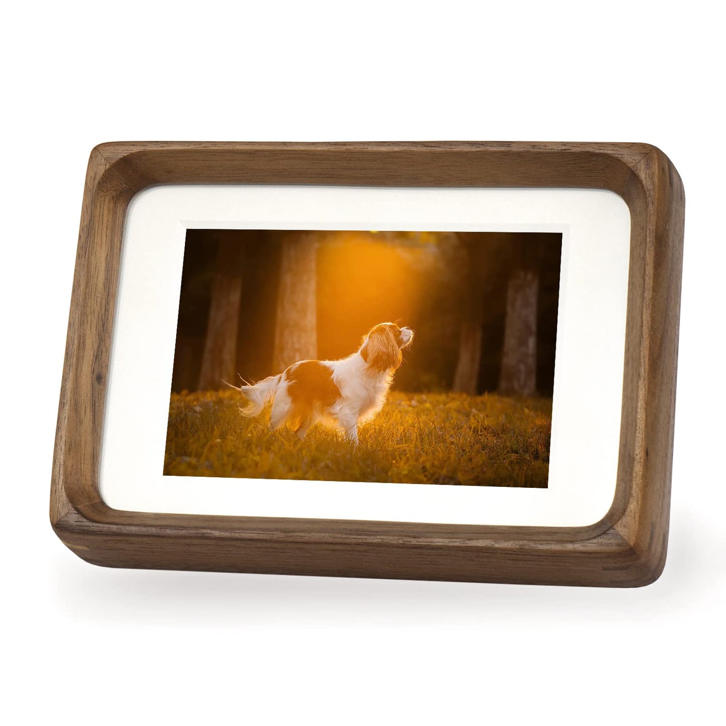 Hans Picture Frame,Made of Solid Wood Photo Frame for Wall Mounting or Tabletop Diaplay(Walnut,5"x7" matted to 4"x6")