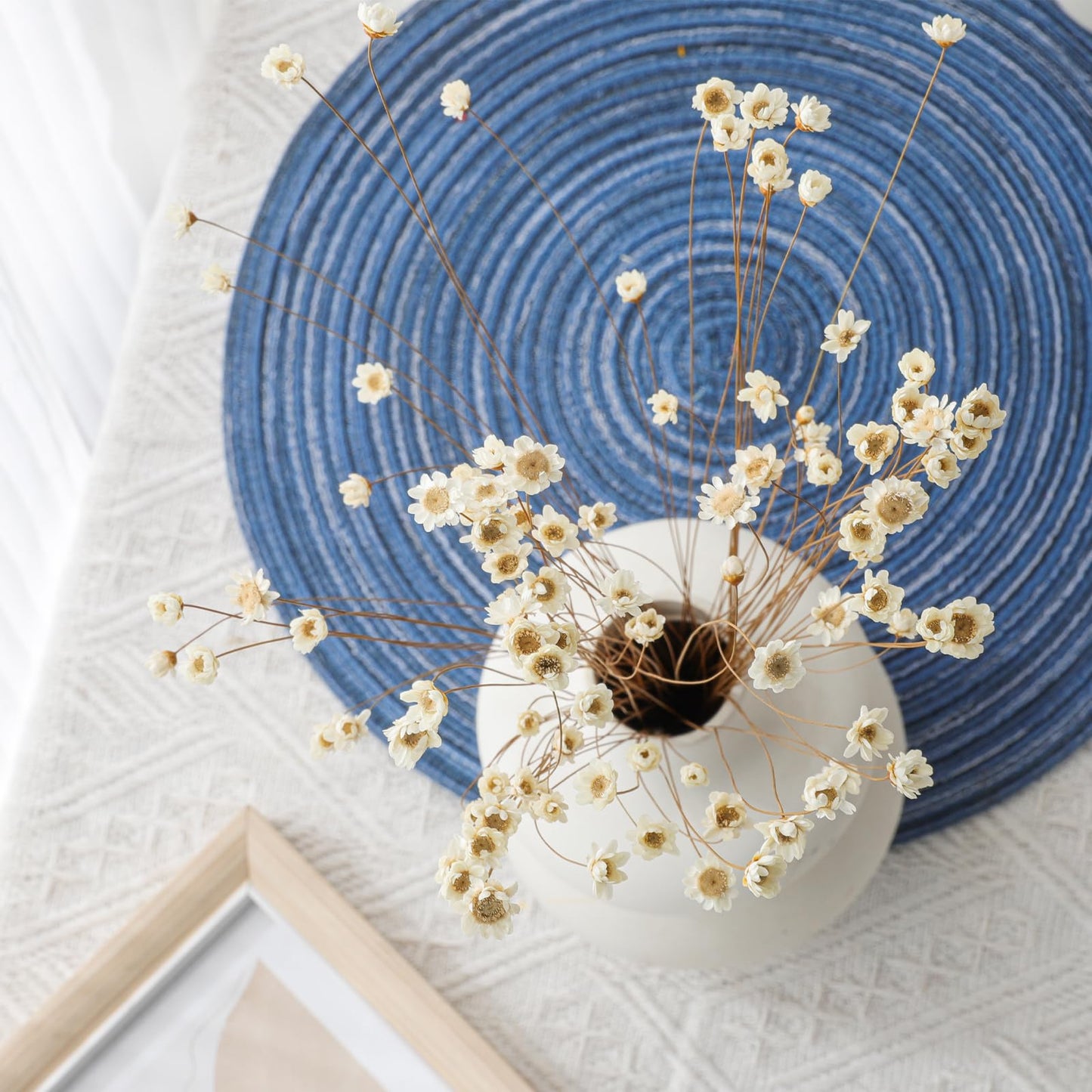 320 Stems Dried Flowers Brazilian Small Star Daisy Decorative Dried Flowers Mini Daisy Chamomile Bouquet for DIY Vase Wedding Wreath Card Making Table Gift Home Decor (White)