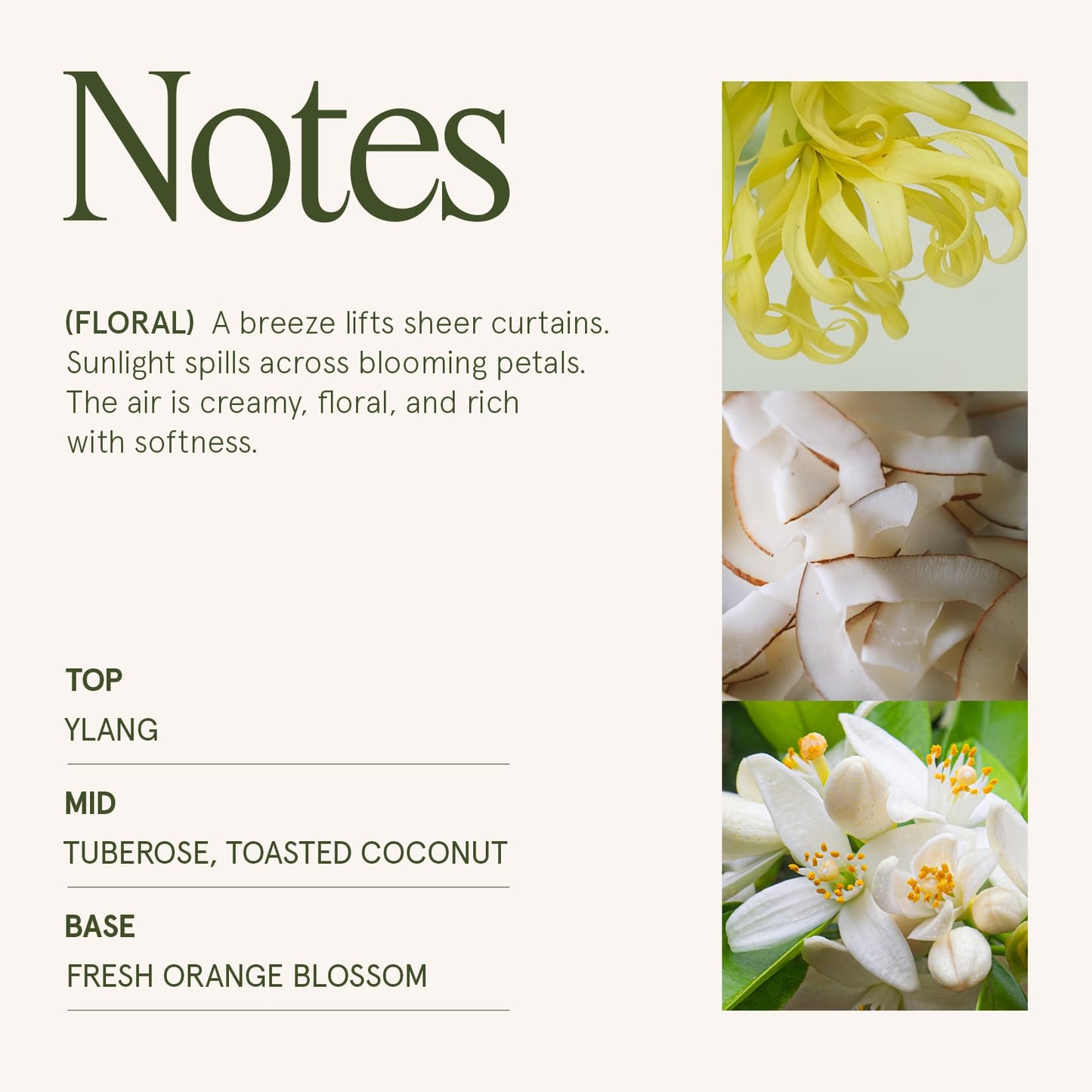 LA JOLIE MUSE Champs de Tuberose Scented Candle, Luxury Candles Gifts for Women, Gardenia & Ylang Ylang Candles for Home Scented, Natural Wax Candle, 75 Hours Long Burning