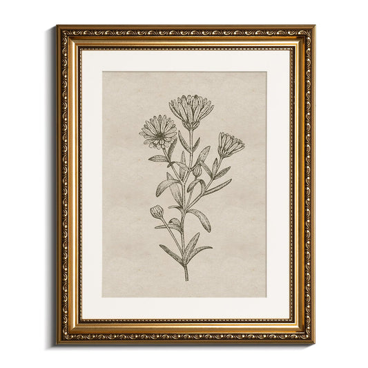 InSimSea Gold Picture Framed Wall Art, Living Room Bathroom Vintage Minimalist Botanical Pictures Wall Decor, Floral Canvas Print Art, Home Farmhouse Decor, Antique Paintings with Frames 13x16inch