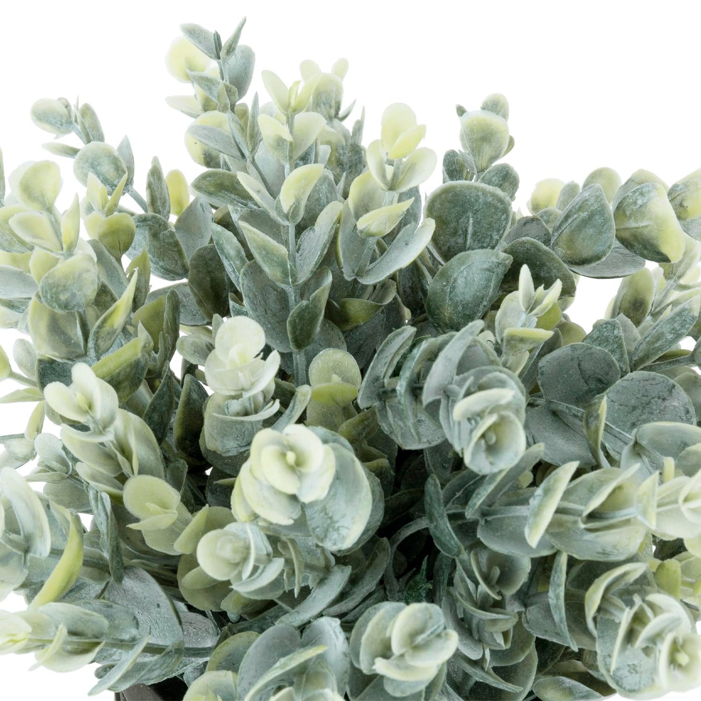 MyGift Artificial Eucalyptus Plant in Modern Gray Concrete Pots with Geometric Embossed Pattern (1, Black)