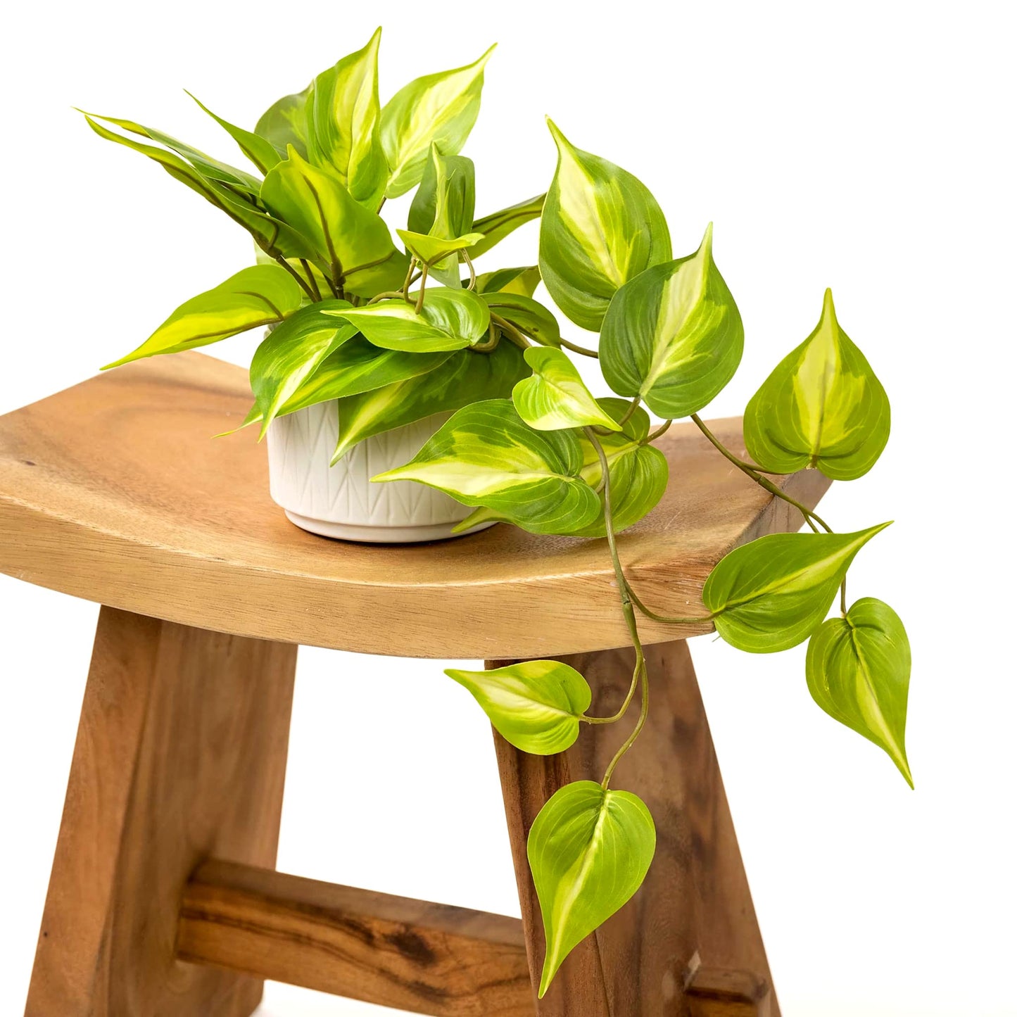 Kurrajong Farmhouse Fake pothos Plant | Fake Plant for Shelf Decor | Artificial Trailing Ivy Plant with 5" Wide Ceramic Pot | Light Green Faux pothos | Feaux Pothos