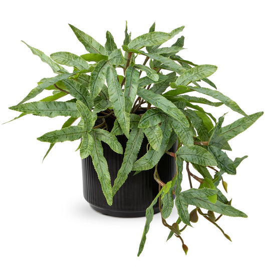 Briful Faux Plants Indoor 9'' Artificial Potted House Plant with Black Ceramic Pot Fake Pteris Cretica Fern Plant for Home Office Room Desk Shelf Decor Indoor