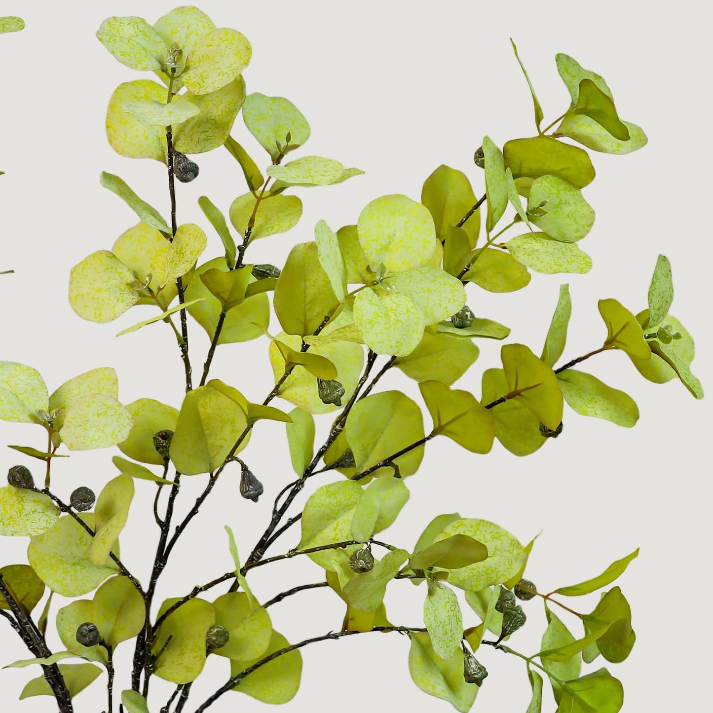 KBREE 41.3" Eucalyptus Stems, 3 Pcs Faux Eucalyptus with Seed Pods, Extra Long Stems Greenery Decor for Tall Vase, Home, Wedding & Office (Frosted Yellow Green)