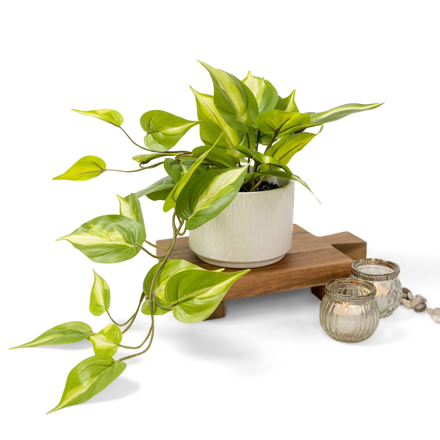 Kurrajong Farmhouse Fake pothos Plant | Fake Plant for Shelf Decor | Artificial Trailing Ivy Plant with 5" Wide Ceramic Pot | Light Green Faux pothos | Feaux Pothos