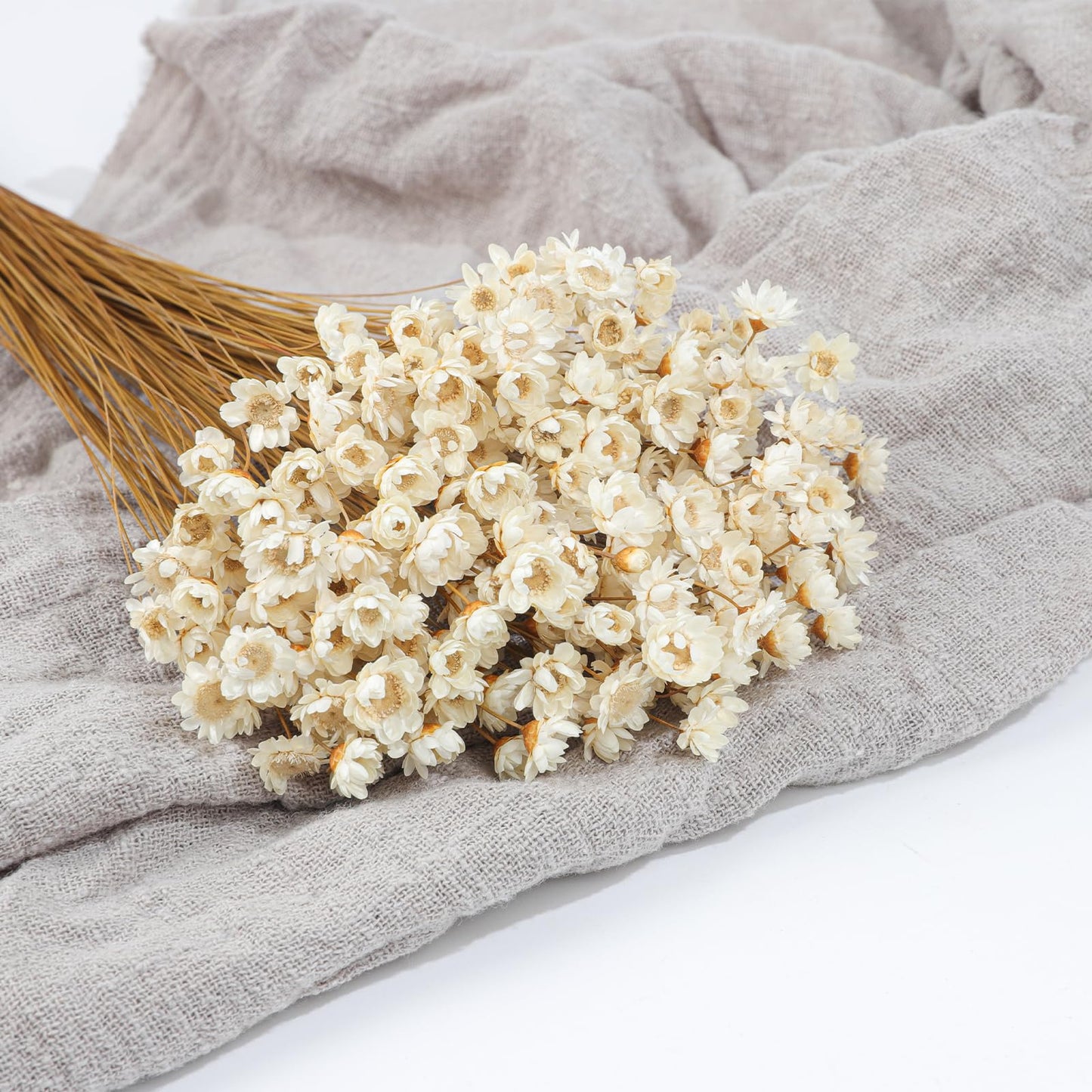 320 Stems Dried Flowers Brazilian Small Star Daisy Decorative Dried Flowers Mini Daisy Chamomile Bouquet for DIY Vase Wedding Wreath Card Making Table Gift Home Decor (White)