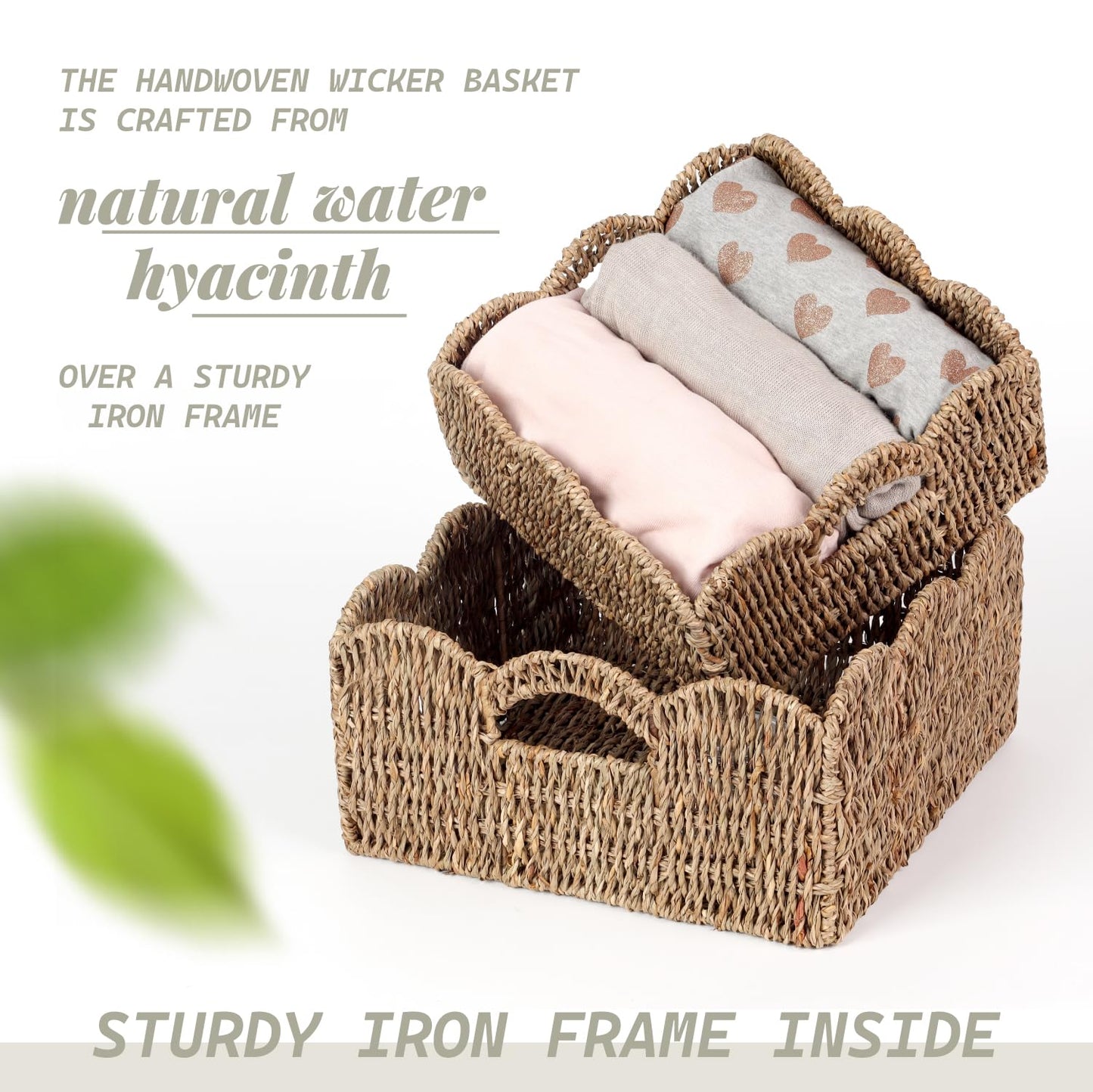 Scalloped Baskets (Natural-Set of 2) Seagrass Basket For Decor, Basket Living Room Organizer, Bathroom, Bedroom, Laundry,... Seagrass Storage Baskets with Built-in Handles.