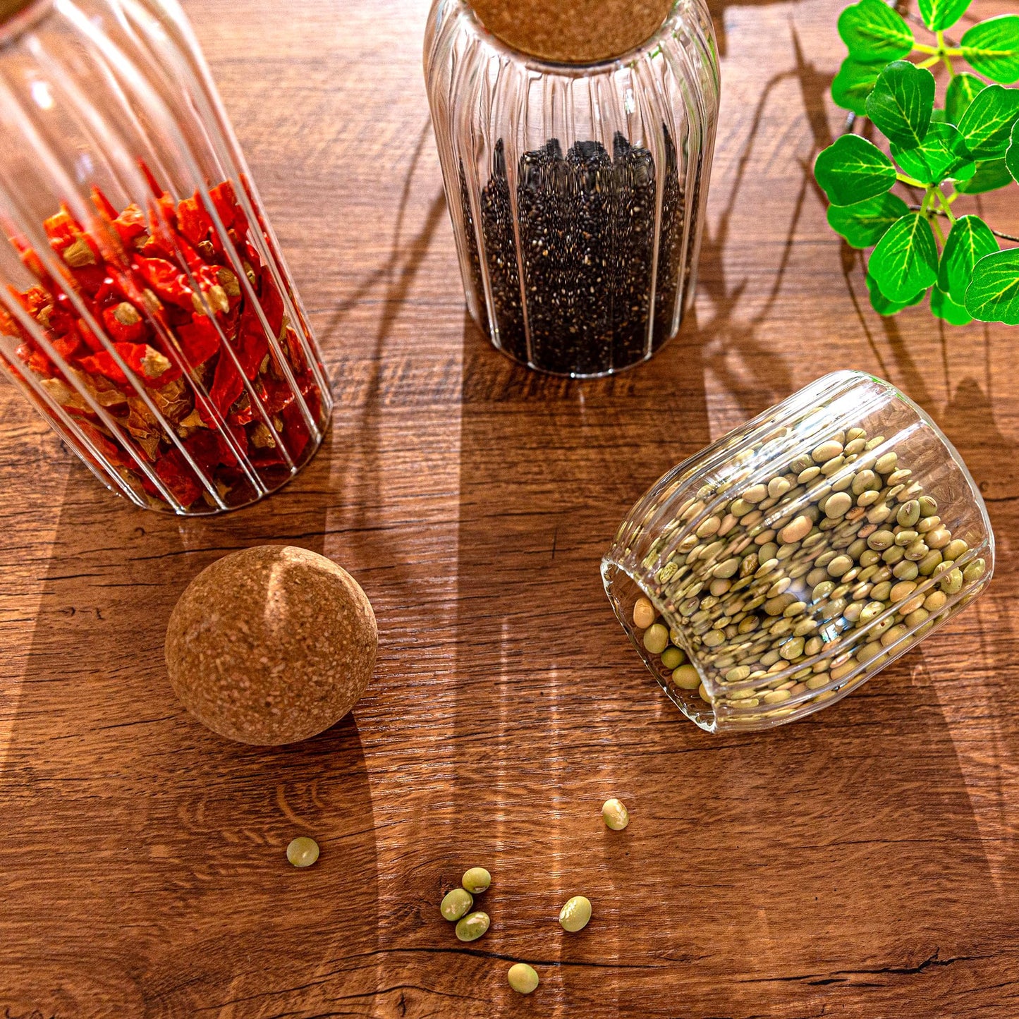 Wisifayardin Glass Jar Set of 3 - Airtight Sealed Cork Lids, Round Glass Bottles for Coffee Beans, Nut Storage, Canisters with Wooden Cork & Ball Lids, Glass Containers