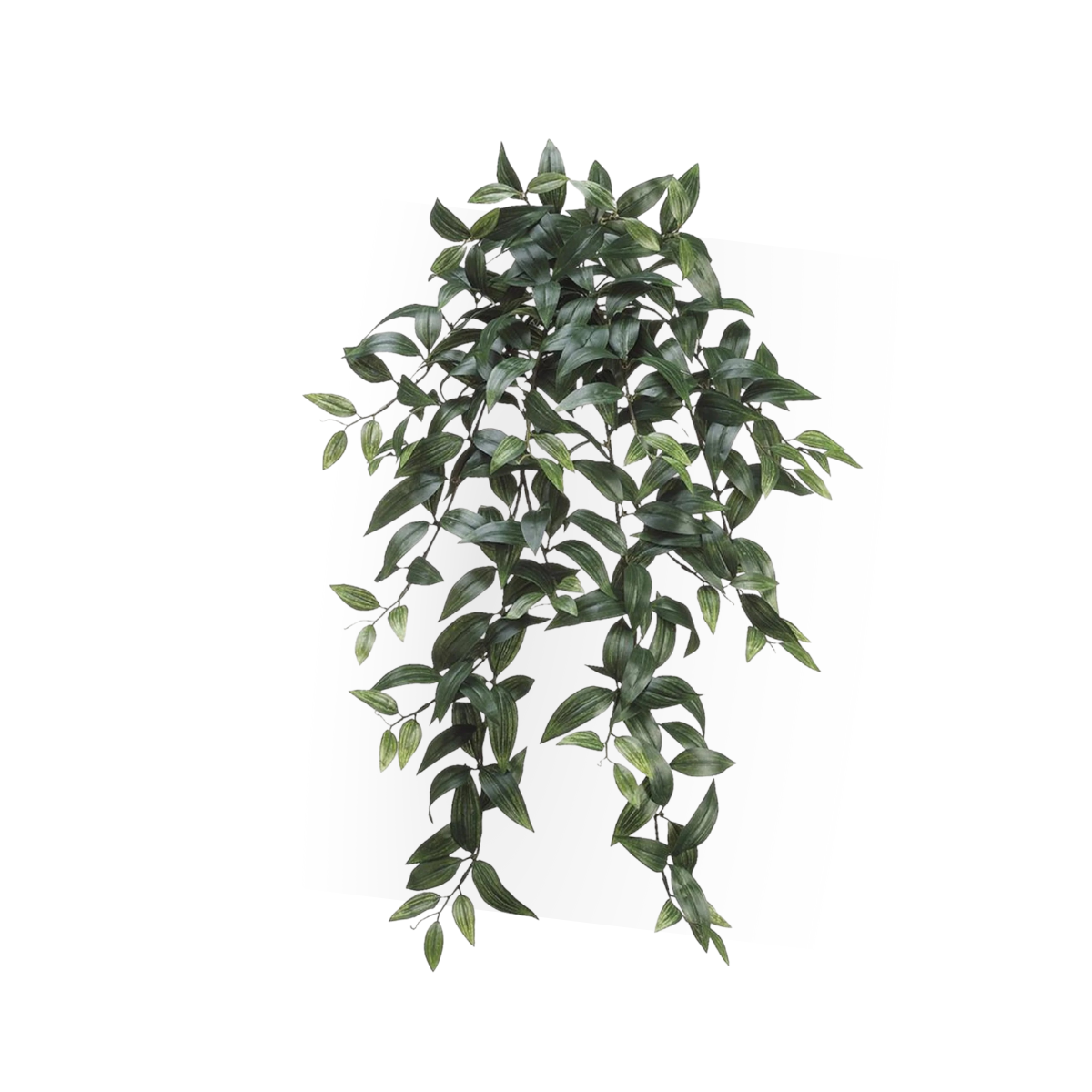 Fake Ruscus Leaf Hanging Plant - 31"