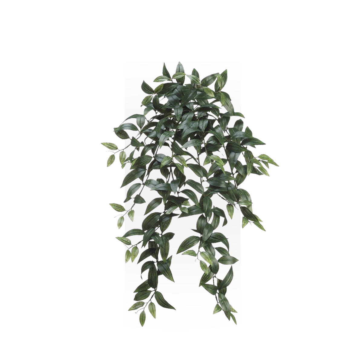 Fake Ruscus Leaf Hanging Plant - 31"