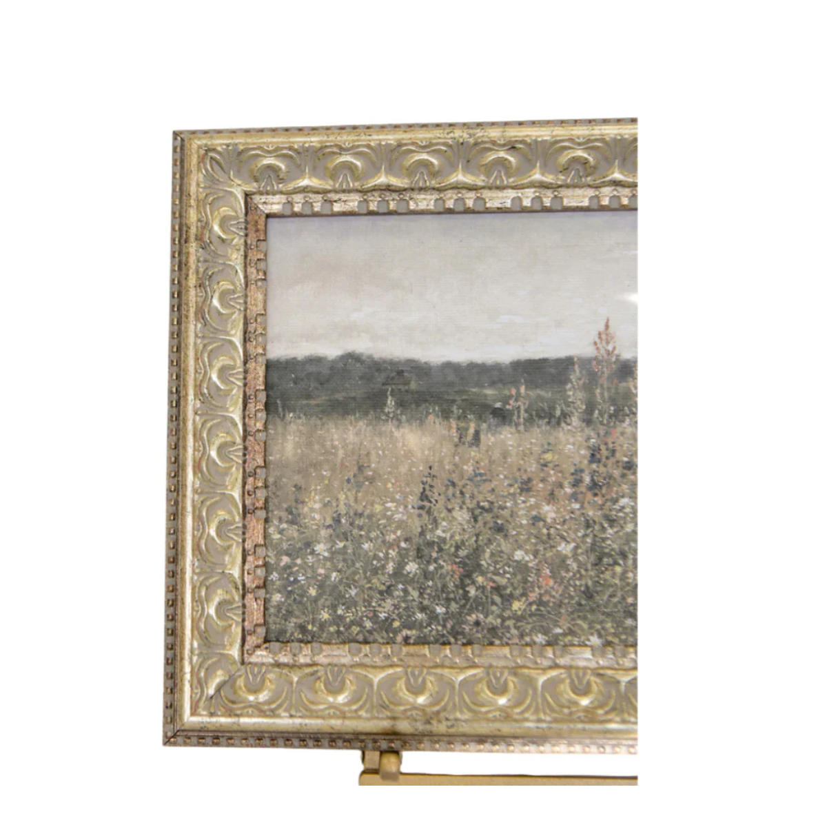 Field Blooms Framed Art
