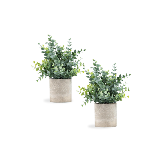 “Eucalyptus Faux Plant Set”