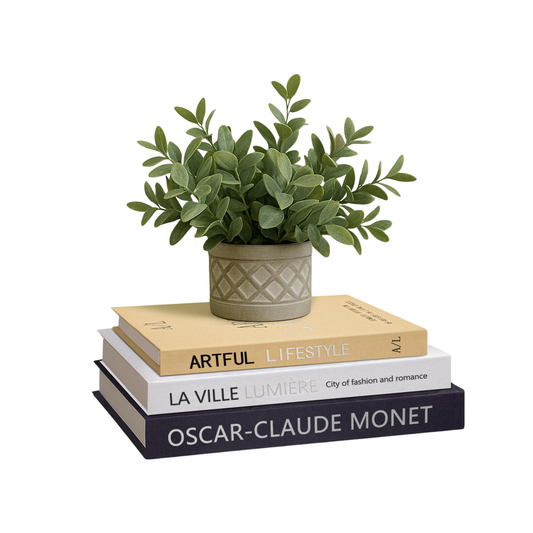 GYOSUGANG Set of 3 Aesthetic Decorative Books, Fake Books for Modern Home Decoration for Coffee Table/Mantle/Bookshelf, Linen Decorative Book for Home Decor - Photo Storage, Keepsake Box