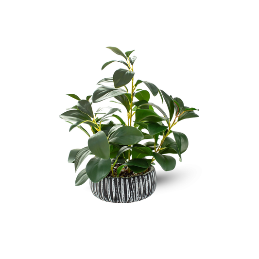 AlphaAcc Artificial Plants Decor Greenery Fake Succulents Indoor Potted Fake Plant with Rustic Black Clay Planter for Farmhouse Room Bathroom Bedroom Kitchen Office Table Desk Decor
