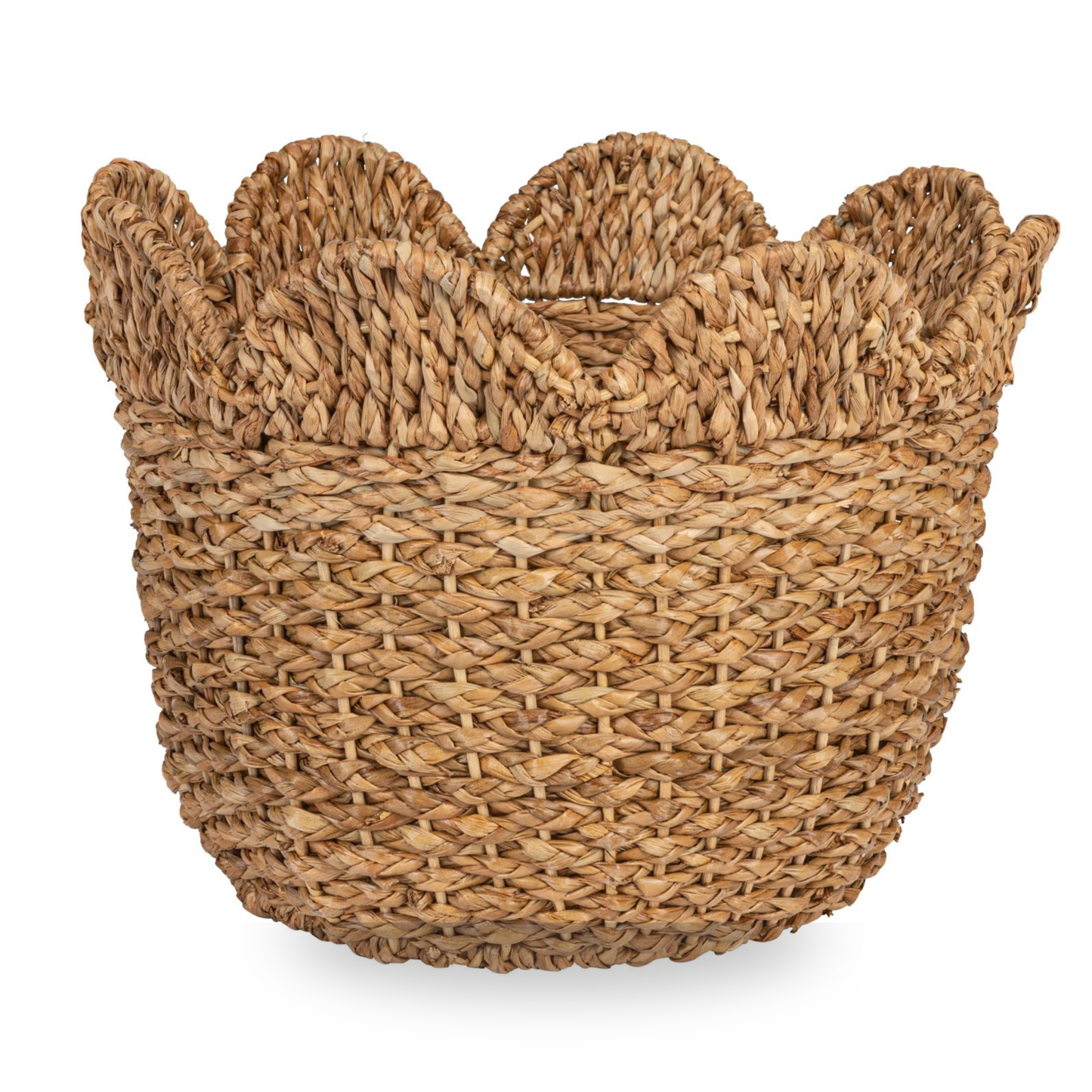 Birch Lane™ Arin Bankuan Basket